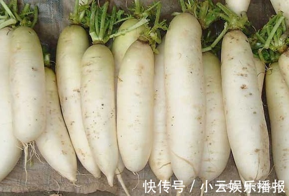 蜂蜜|白萝卜搭配此物一起煮,咳嗽不见了,不感冒了,全家老少都能吃