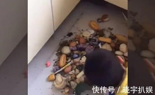 妈妈|妈妈发现了一个不爱吃早饭的“熊孩子”,真想不到,藏得也太深了