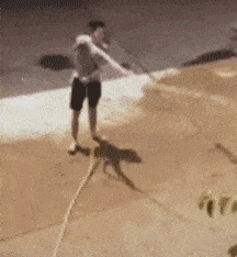 |搞笑GIF:妹子和黑人在一起后学会玩了!