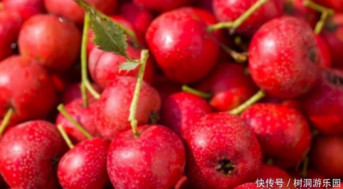 气色|女性想气色好,推荐吃的食物,美白养颜、对抗衰老、防止色素沉着