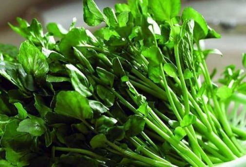 可溶性纤维|女性不想子宫早衰,可常吃以下3种食物,头发乌黑了,眼睛明亮了