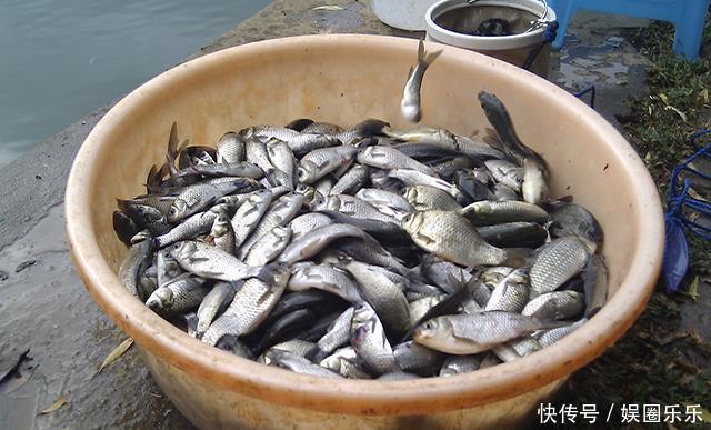 钓到鱼的好办法并非全靠钓具,而是靠“套路”