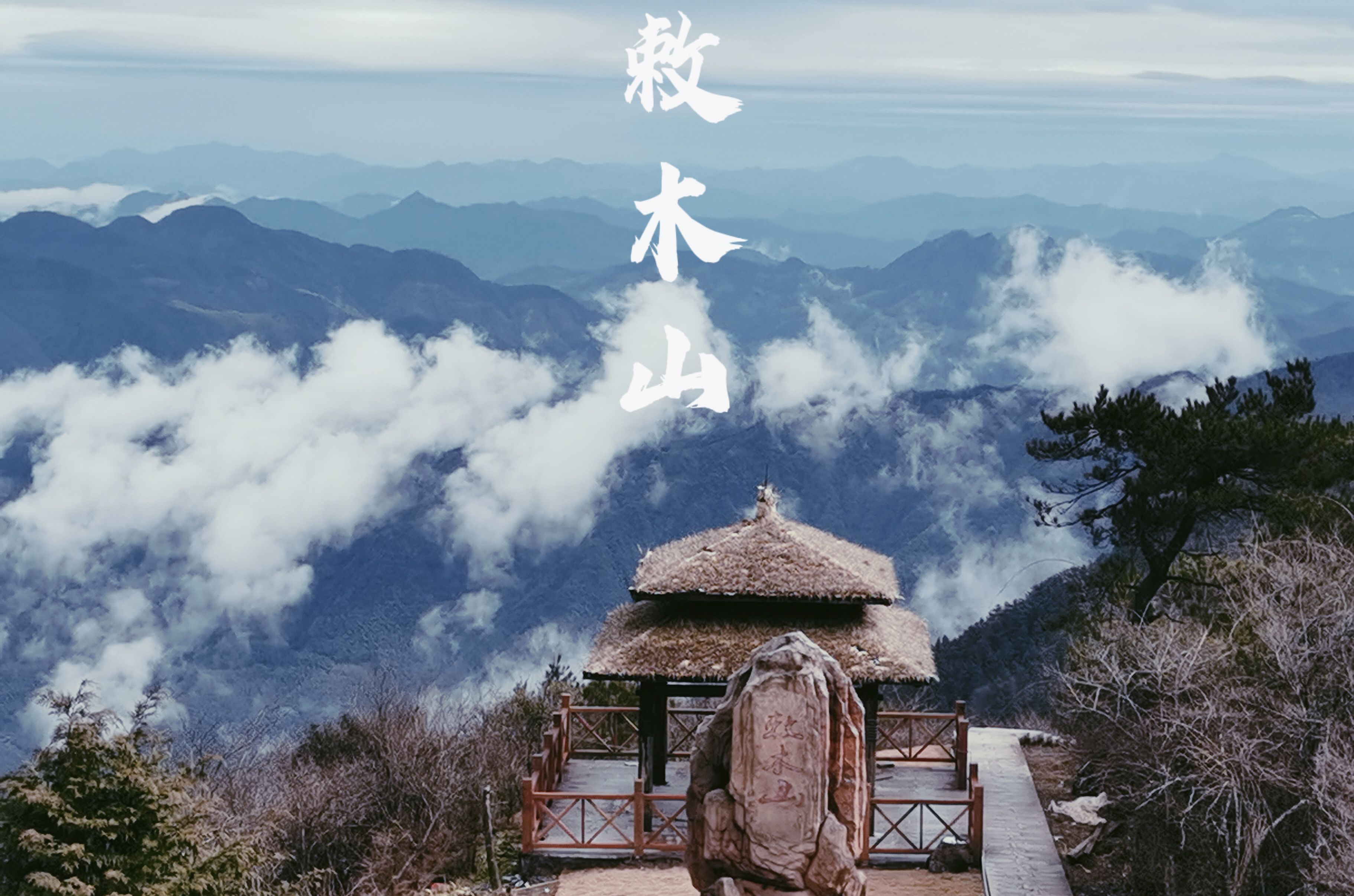 云雾|雾锁山城山锁雾，这样的景宁你爱了吗？