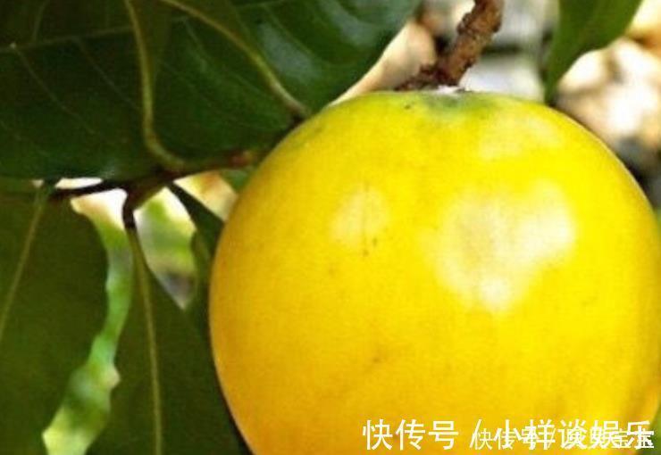 黄金果|女性姨妈走后,此“黄金果”要经常吃,排出子宫毒素,远离妇科病