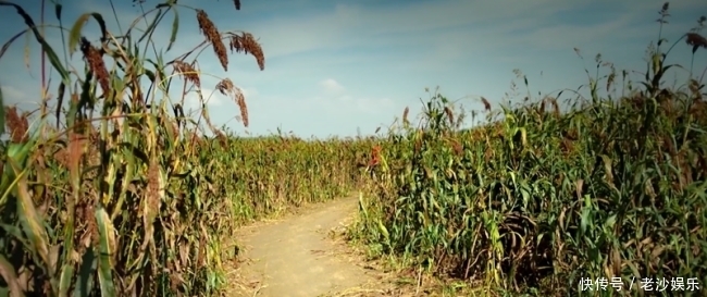 短短|俗语“男怕八月,女怕腊月”短短八字,道出老祖宗生活的精华!