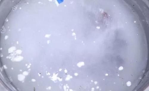 洗葡萄时,有人用盐,有人用面!老果农:都不对,教您最正确做法