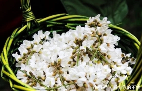 洋槐花是我们逝去的童年,如何保存洋槐花?这2招你试过了么