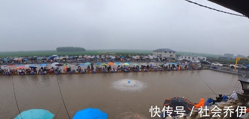 利哥|舞帝利哥钓鱼场被“盘”，员工挺不住辞职，出现经营亏损状况？