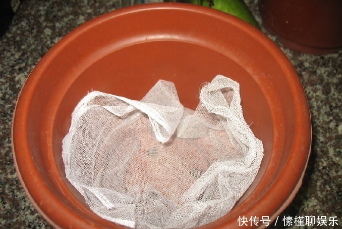 生菜|现在开始,花盆里养上“3种菜”,整个冬天“吃火锅”随便摘