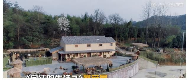 《五哈2》蹭《向往》熱度？彭昱暢陳赫重返蘑菇屋，小H提前營業(yè)！