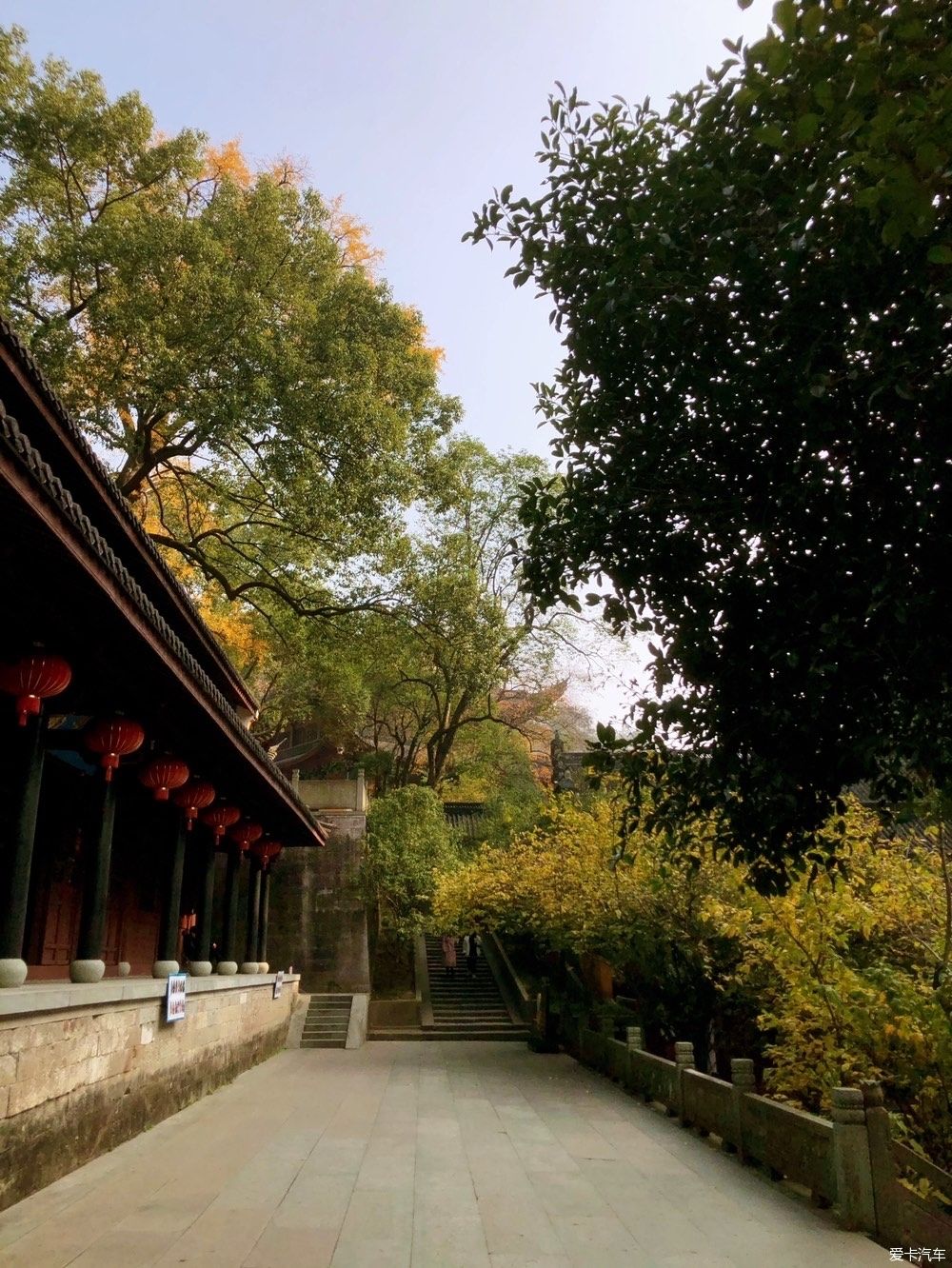 自驾|自驾一日游大佛寺景区