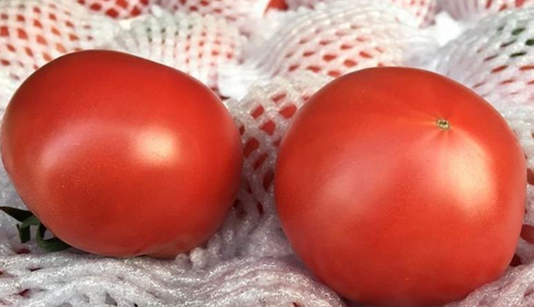 盖浇饭|西红柿炒鸡蛋,什么时候放盐很关键!用对方法,汤汁浓郁下饭香