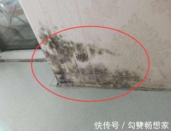 墙面|老房子墙面发霉怎么解决别让人重新刷灰了,这样做才治标又治本