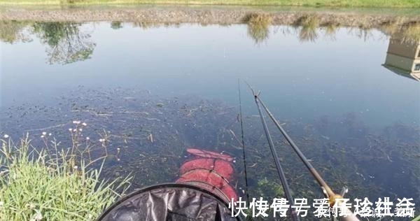 浅水|冬季钓鱼,何时钓深何时钓浅?鱼窝这样找,深浅都上鱼!