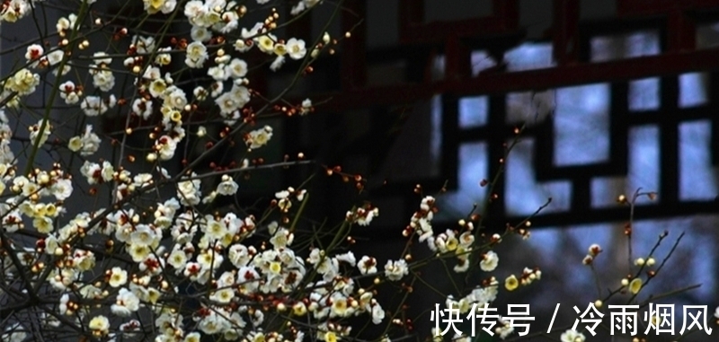 飞雪!落尽琼花天不惜,封它梅蕊玉无香—赏诗中的飞雪窥诗人心境的悲凉