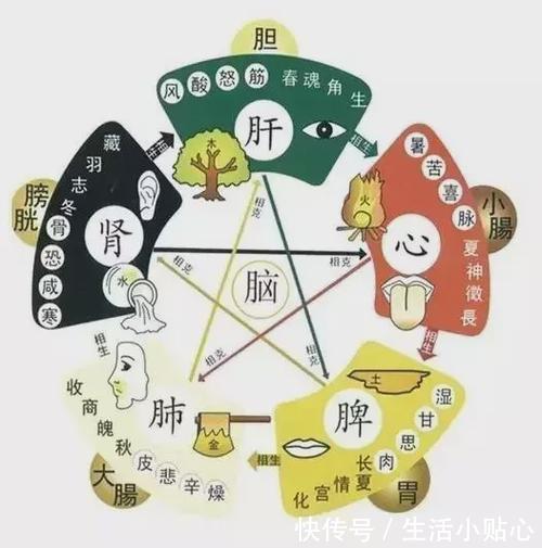 脾虚的人,很容易被一眼看出来!往这几个地方一看,自然一目了然