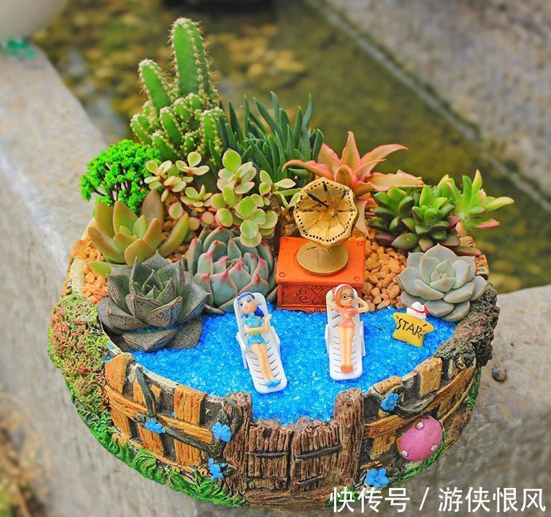 喜欢的多肉太多了,不如放在一起打造多肉组合盆栽,让美丽翻倍