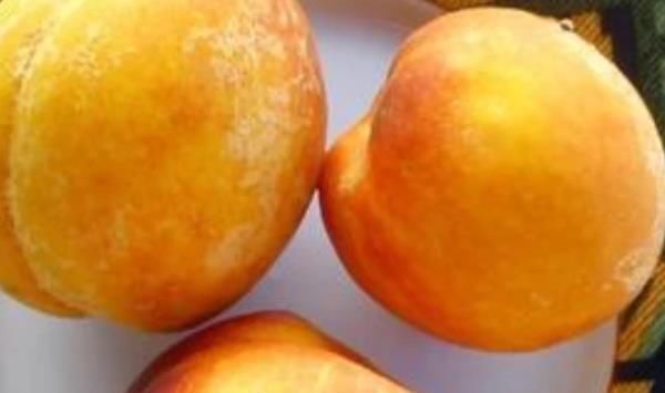 常吃|女人对自己要舍得,早晚常吃4物,不仅健脾养胃,皮肤也越来越好