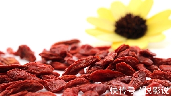 食用枸杞|常喝枸杞能养生,若是喝错反伤身,喝枸杞的禁忌,了解一下