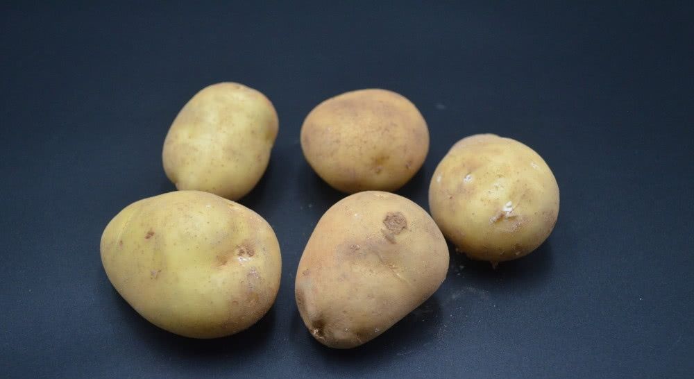 今天才知道,原来保存土豆这么简单,放半年不发芽不干瘪,真实用