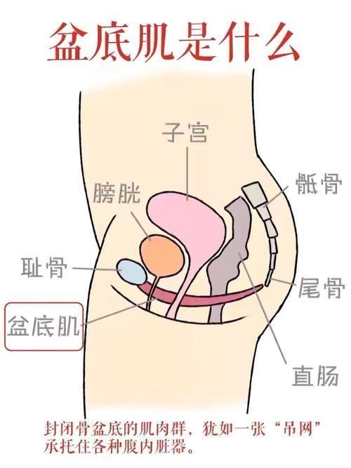 垫子|8个瑜伽动作躺着练,修复盆底肌,展现女性魅力