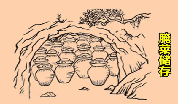 肠道菌群很重要,从小抓起更有效|?大白话说中医第一百六十三期| 小孩子