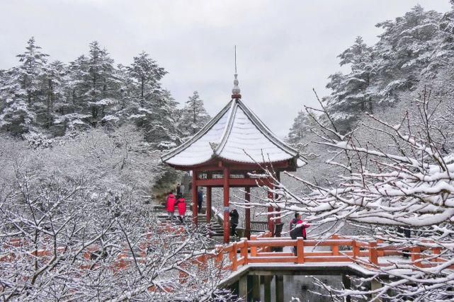 美啦！今晨峨眉山突降大雪