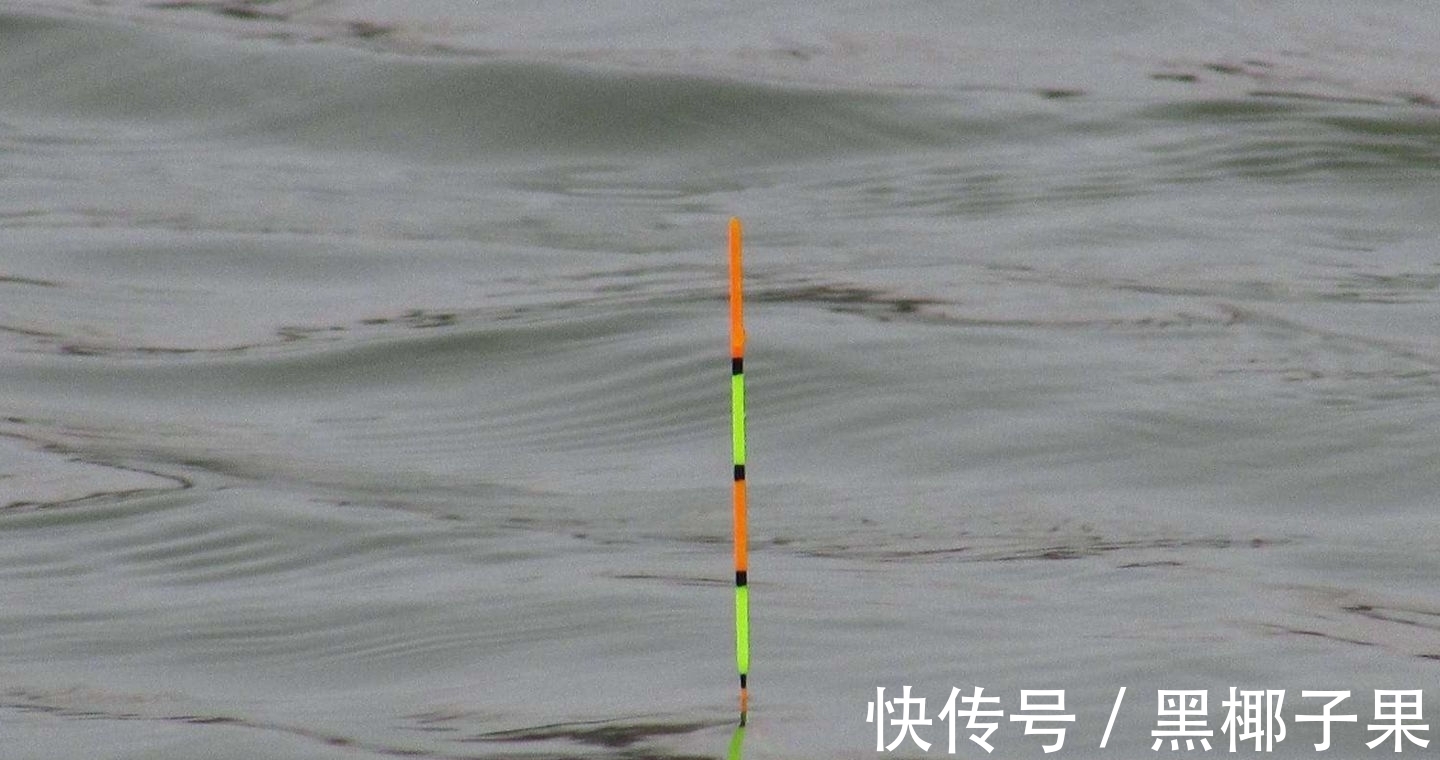 想钓好鲫鱼这些你首先要知道