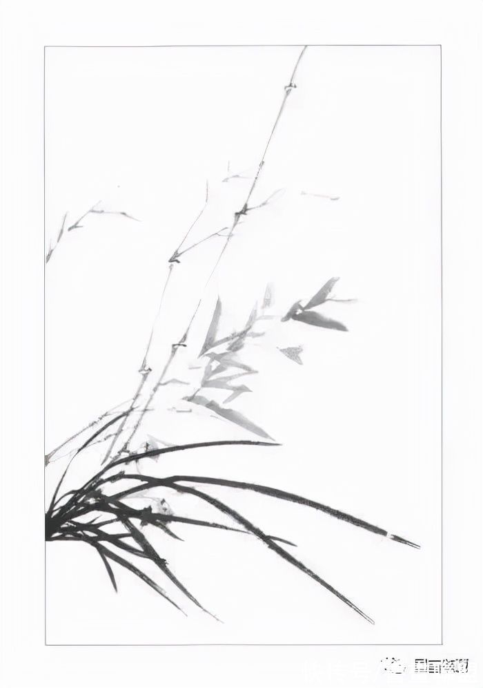 兰叶@国画兰花绘画技法，怎样画兰，兰与竹的组合画法教程