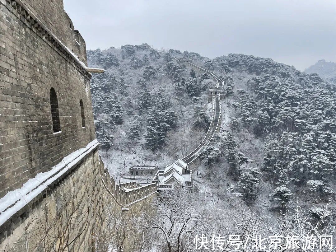 一夜之间|来啦！多图带你看紫禁城瑞雪，还有卖萌的熊猫、嬉戏的老虎~