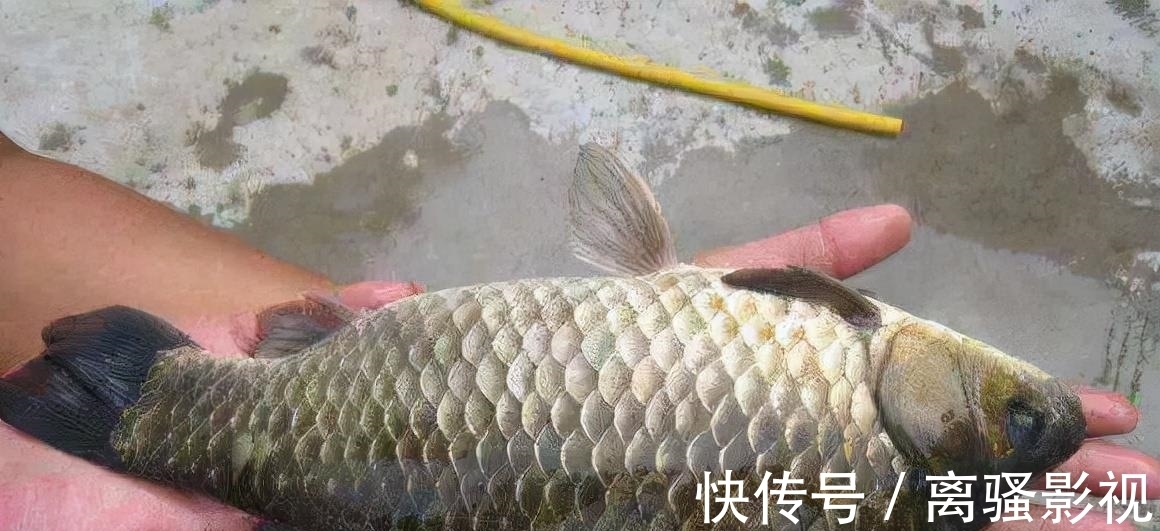 冬季什么天气鱼情好?这5种晴天,2种不去钓鱼是浪费!