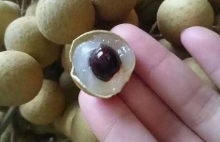 蜂胶|女人患“子宫肌瘤”,会自己消退吗牢记“4不要”,会悄悄好转