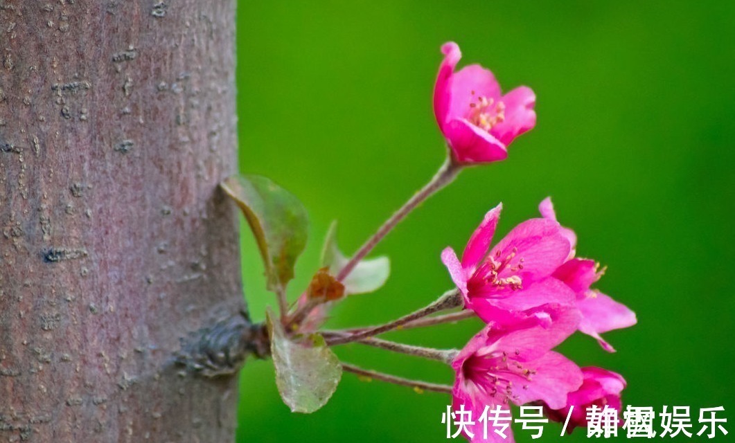 富得流油|这四个生肖的孩子，是家中瑰宝，是父母的福星，未来富得流油！