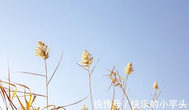 天蝎座|5种迹象表明，天蝎座已经对你走心