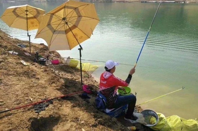 秋天唯独这调钓方式才霸气,大鲫鱼接二连三的上