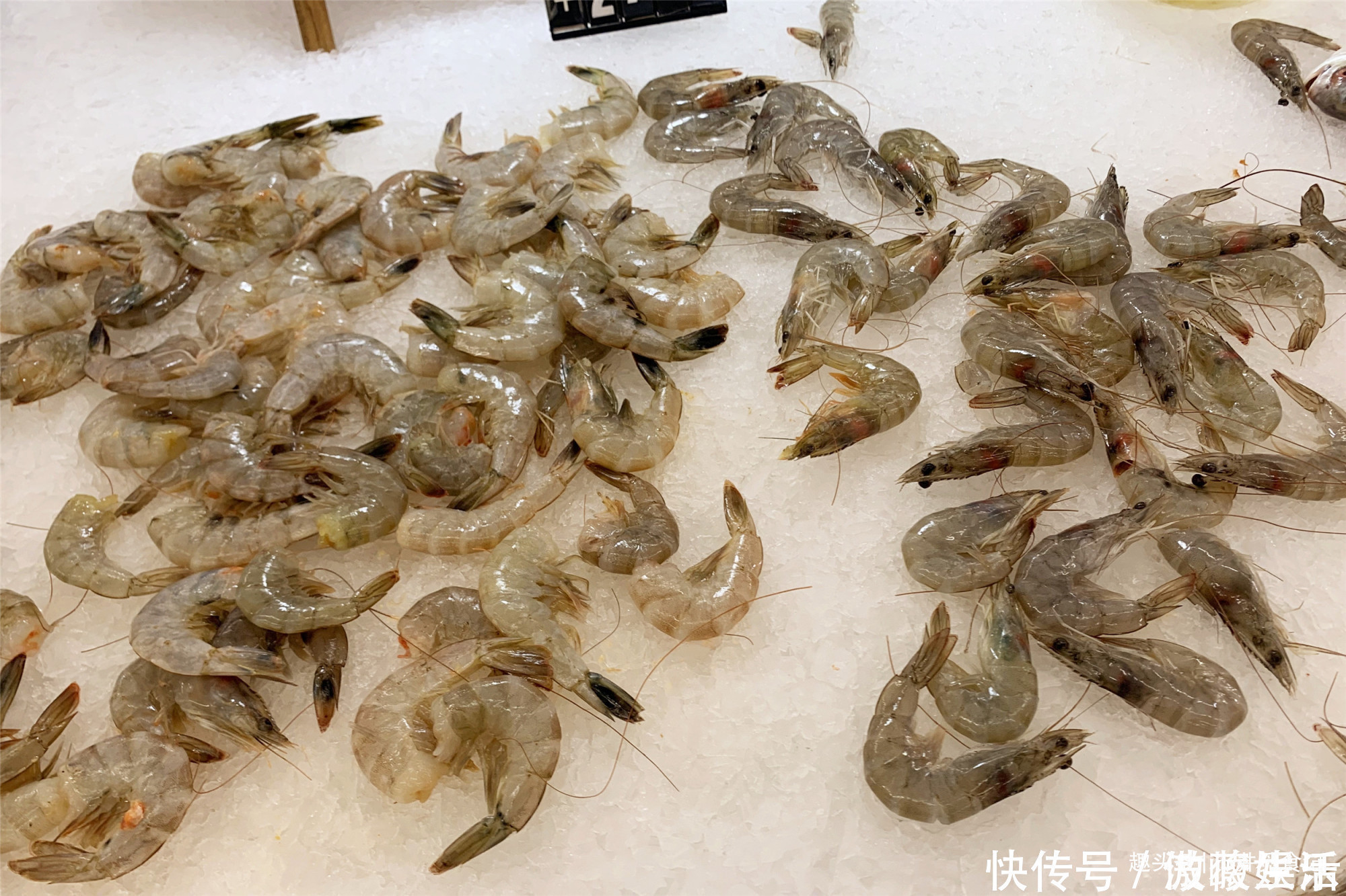冰鲜虾|买大虾时,碰上这3种虾,打折也不要买,别贪小便宜吃大亏
