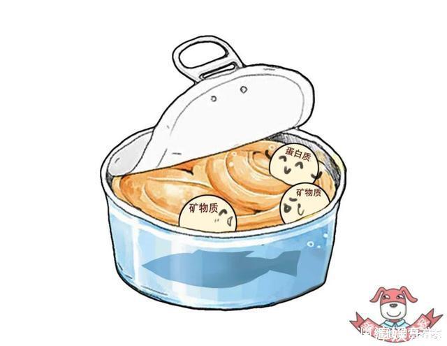  保质期|保质期长真的是添加了很多防腐剂这次就为罐头食品正名