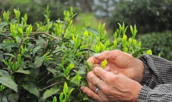 补充|更年期女性再没钱,也要多吃3种食物,补充雌激素,人也显年轻