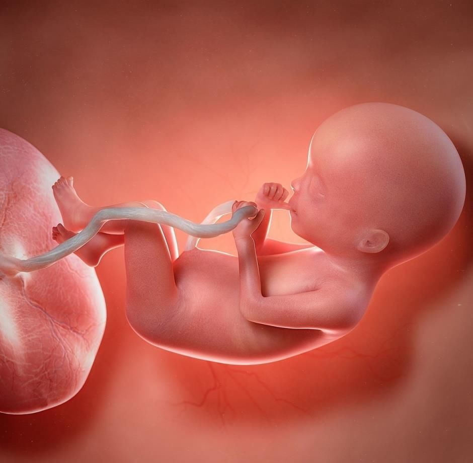 楠楠|孕妇不能喝豆浆,对胎儿有害?豆浆对胎儿的好处,很多孕妈不知道