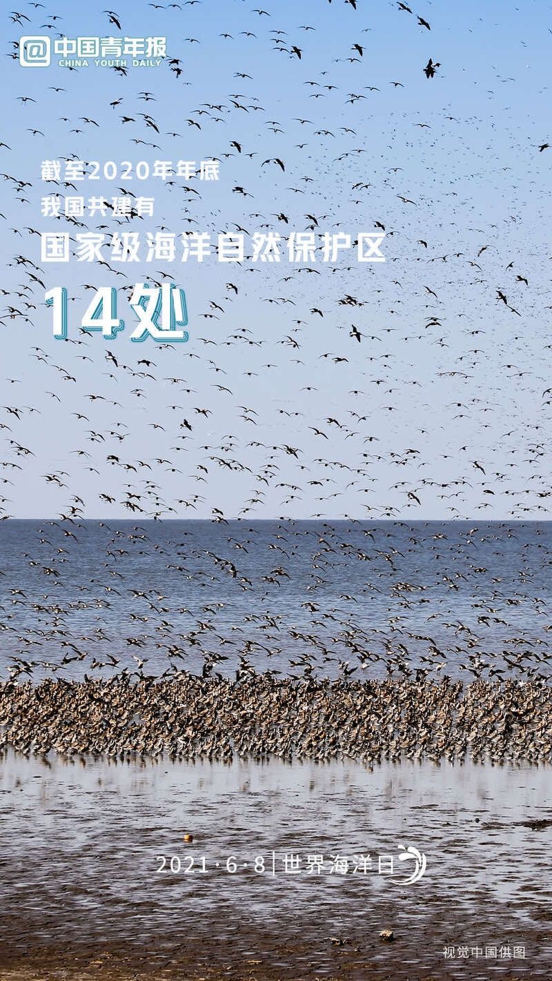 今天是世界海洋日，一起来数读蔚蓝海世界 共建地球生命共同体  蔚蓝海世界