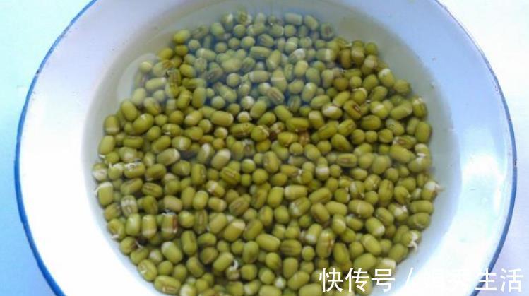 容器|在家发豆芽,4天就能吃,方法教给你,制作简单,好吃营养又卫生