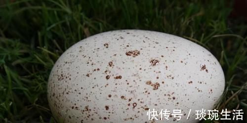 长寿|想长寿要先会吃，3种食物不能少，排毒养颜，有益健康！