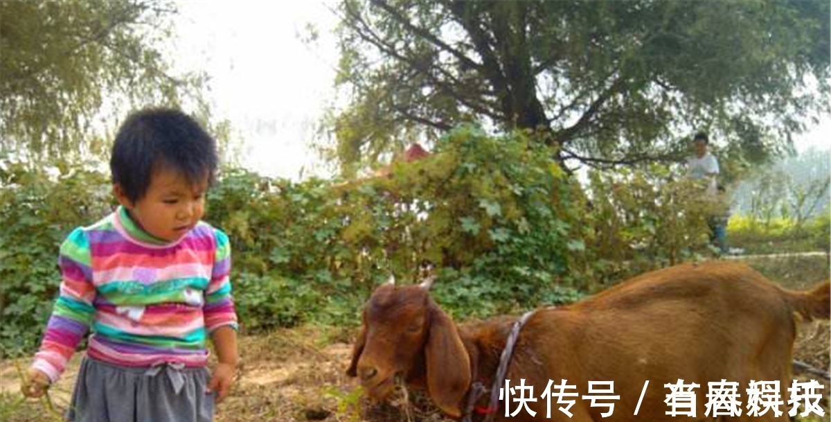 寡妇&人们常说寡妇门前是非多,其实上半句更经典,但鲜有人知!