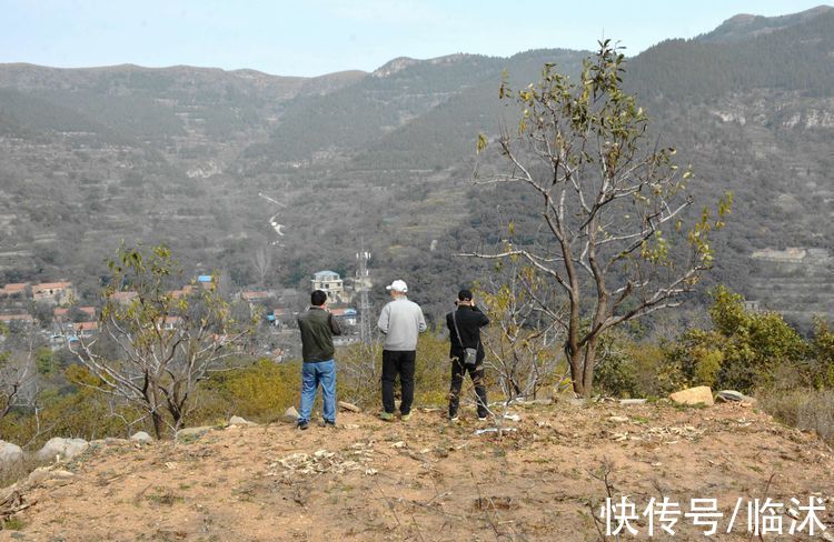 静怡|再游柿子沟