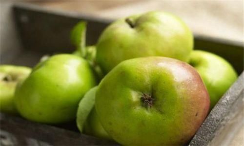冬季养生很关键，3种果蔬离不开，降压降脂，改善肠胃，好处多多