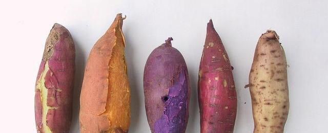 蜂蜜|肠道“推粪机”已公布,并非香蕉,便秘者多吃,清理肠道、防便秘