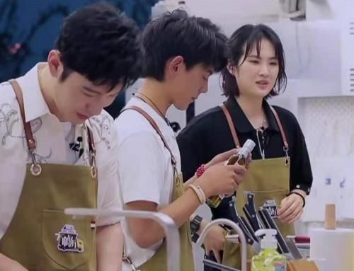 嘉賓陣容|嘉賓陣容超豪華，《中餐廳5》收視平平，是為何？