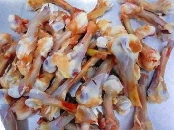 君子兰换盆，盆里埋“1种东西”，能养根，叶纹如网，一年2次花