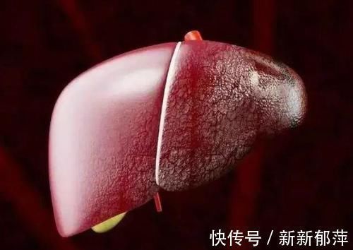 食物|专家提醒:转氨酶偏高的人,这3种食物尽量少吃点,不妨了解一下