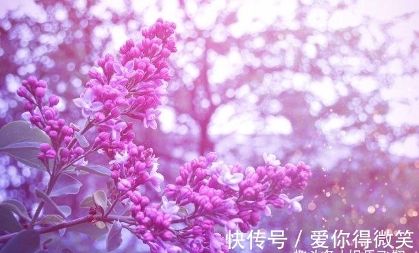 属兔|未来9天，桃花如雨，千般不舍，月老相助，爱火复燃，余生长相依